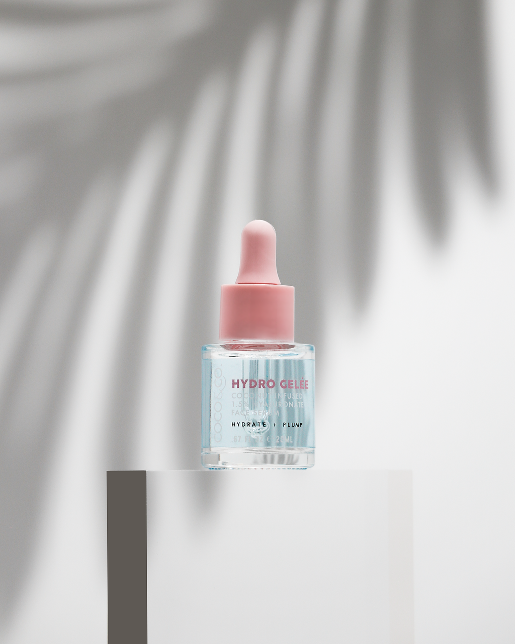 Coconut Hydro Gelée - COCO & CO. Beauty